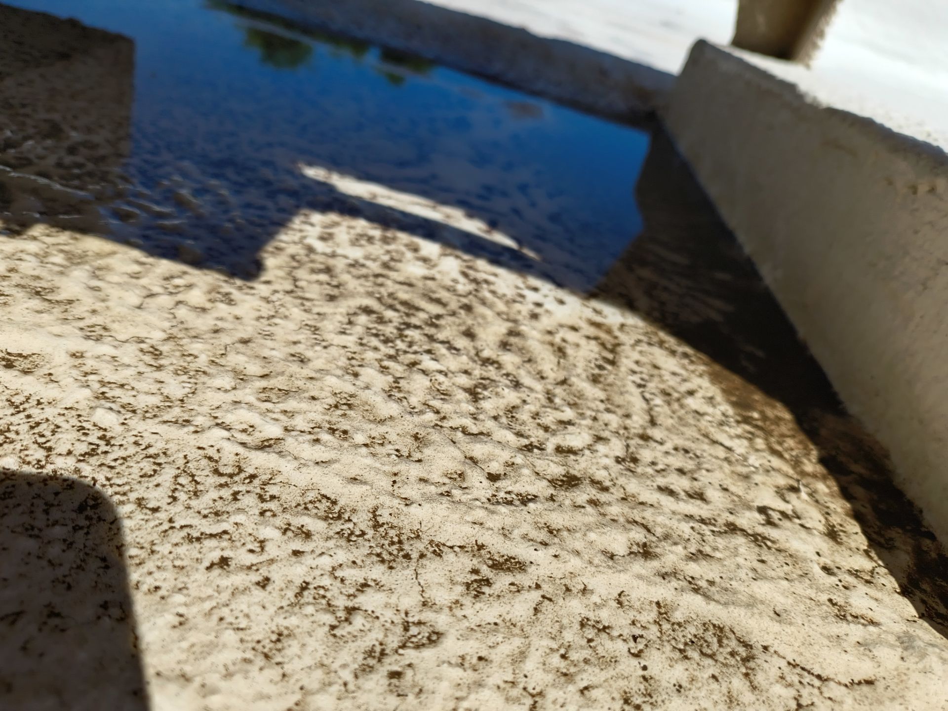 Mesa Apartment Flat Roof Coating and Interior Restoration Services by APM Builders LLC