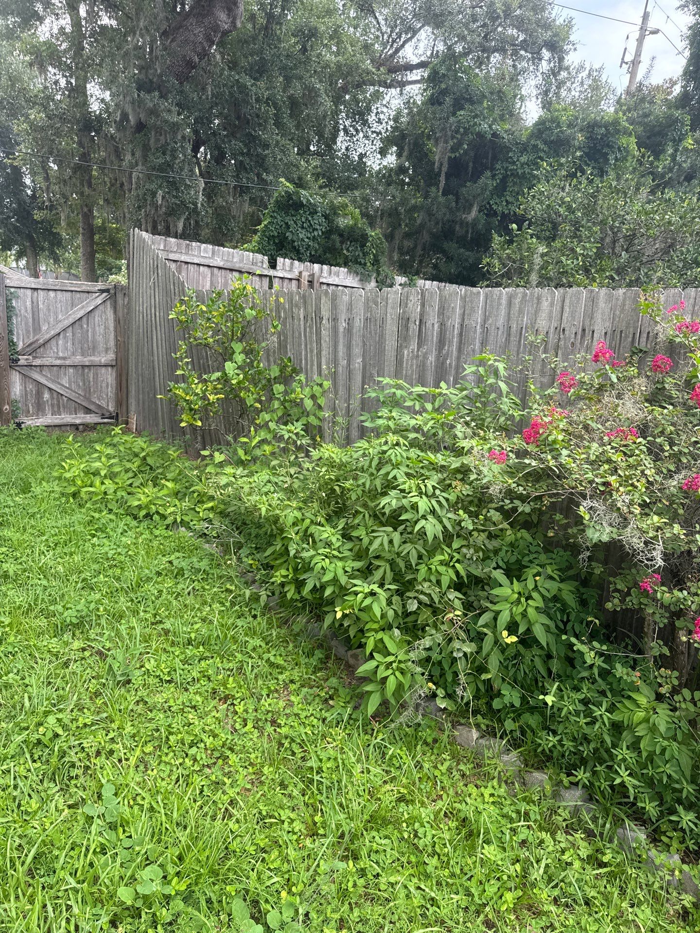 Residential | Clean-Up & Mulch Install by ProGreen Services