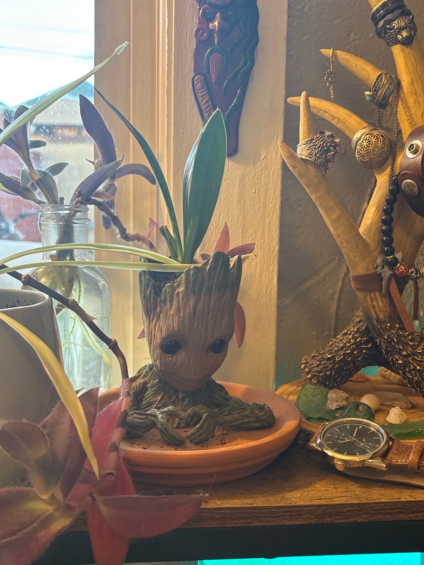 Drew's House by CompanyCam | Account Management Demo Account