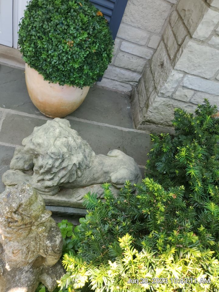 natural stone cleaning using Algaecide, soft wash soap by Northern Power Washing LLC.