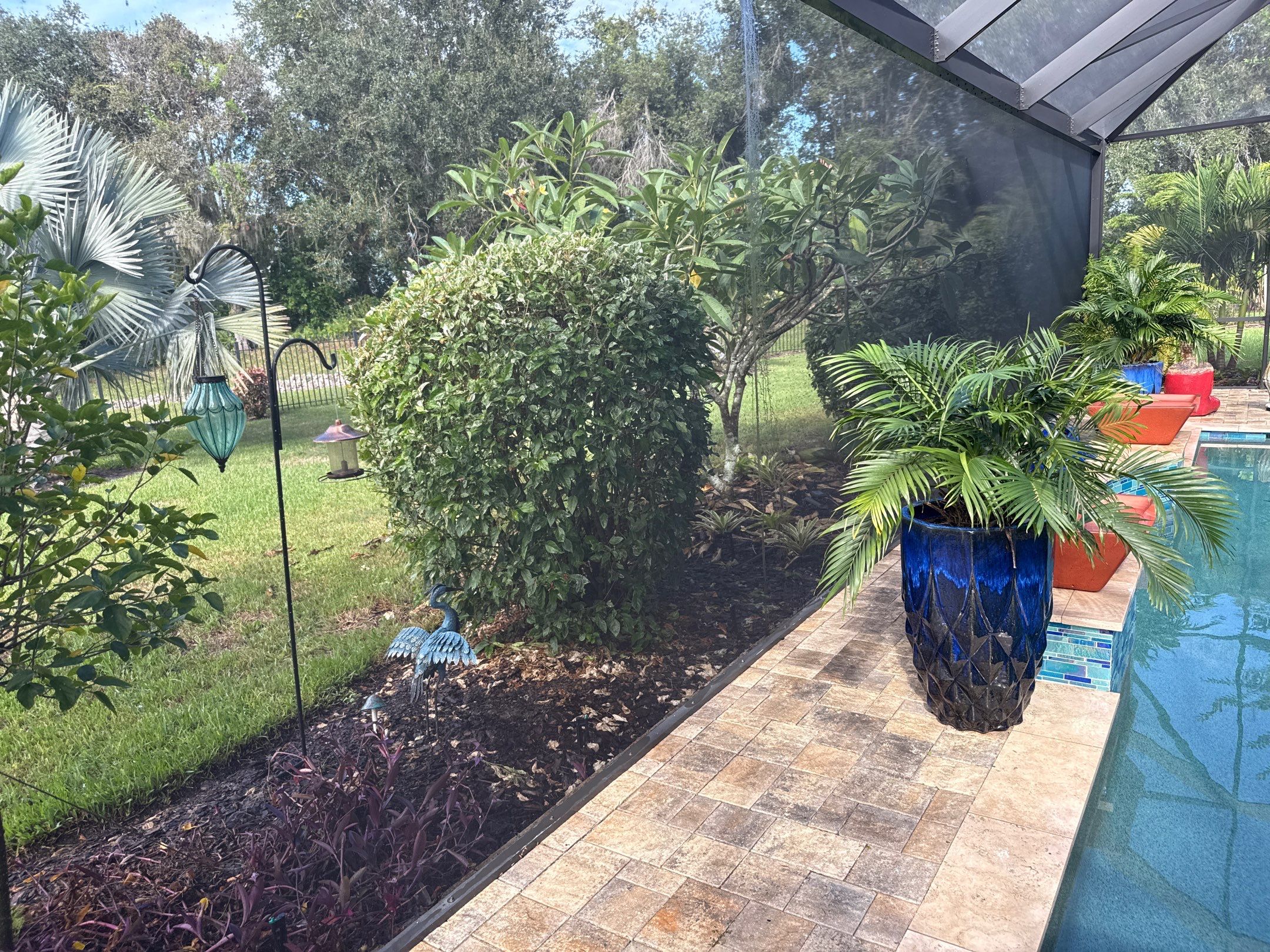 Pool Cage Cleaning | Rye Wilderness, Bradenton FL by Sunshine AquaWash