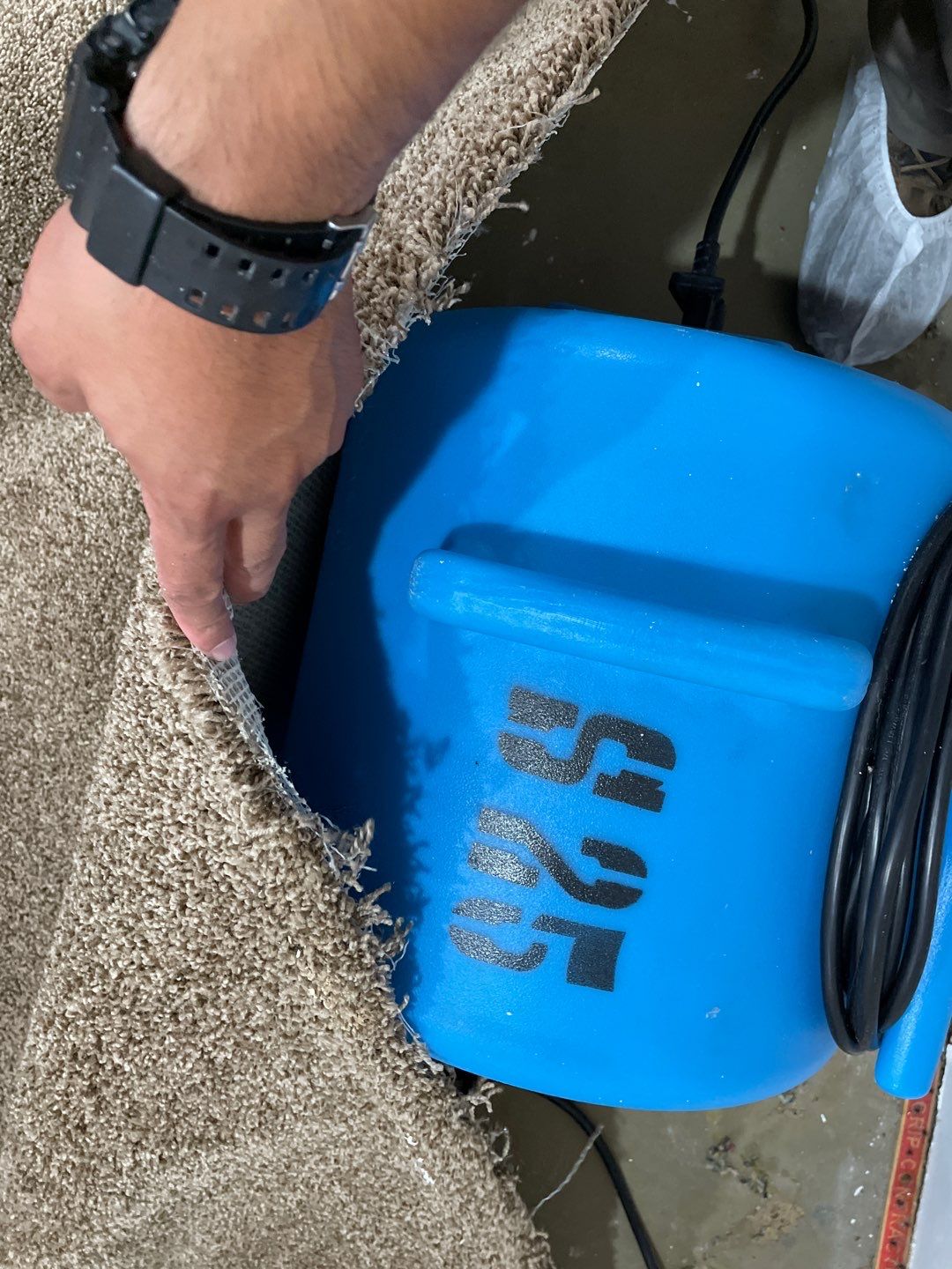 Water Damage  by Accountable Home Services