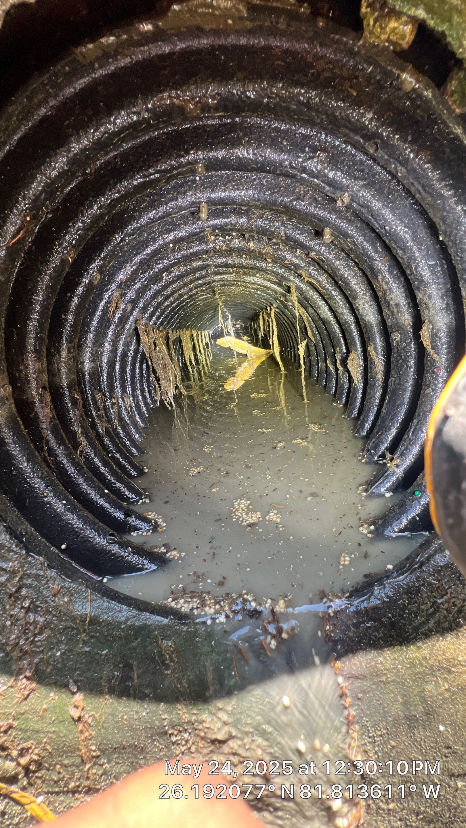 Gulfshore Condo Stormwater System Maintenance by Don Mar, Inc. Storm Water Solutions