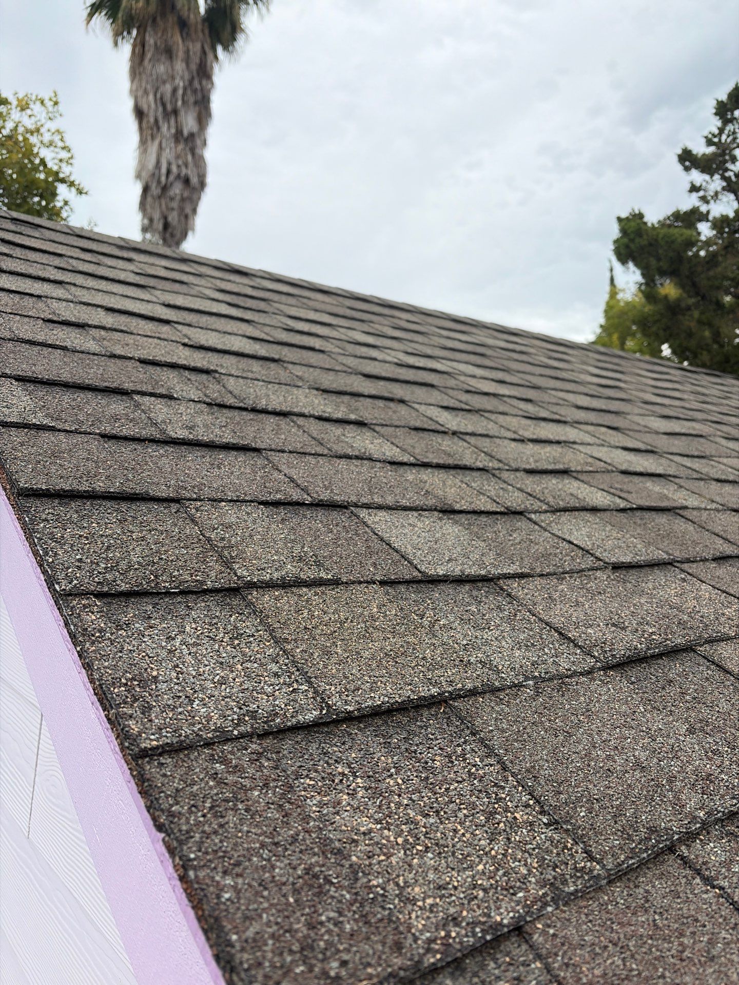 Roof Rejuvenation using Roof Maxx Treatment by Roof Maxx of Folsom