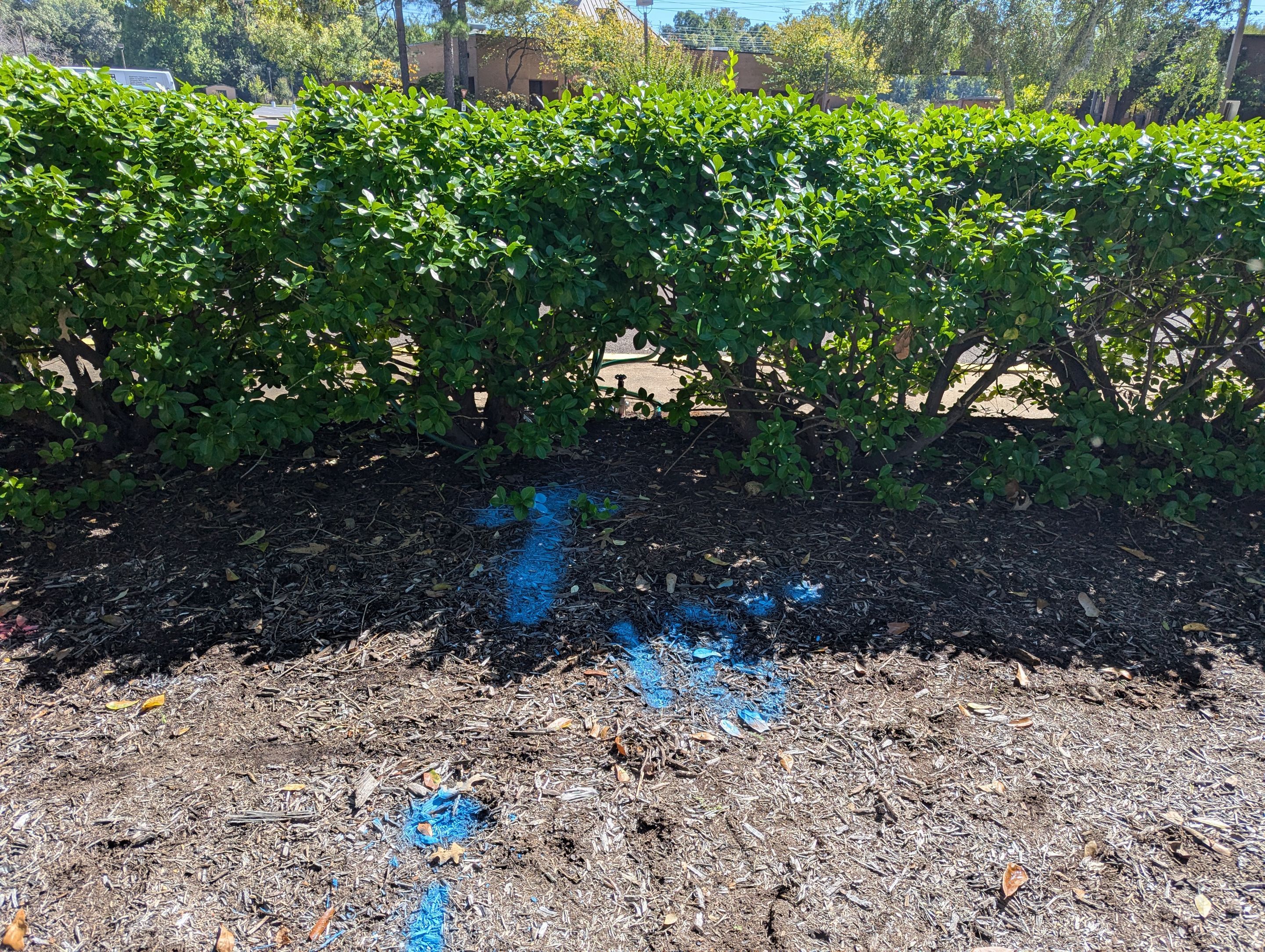 Utility Locating Services / GPR Request by Alsip Locating Service, LLC