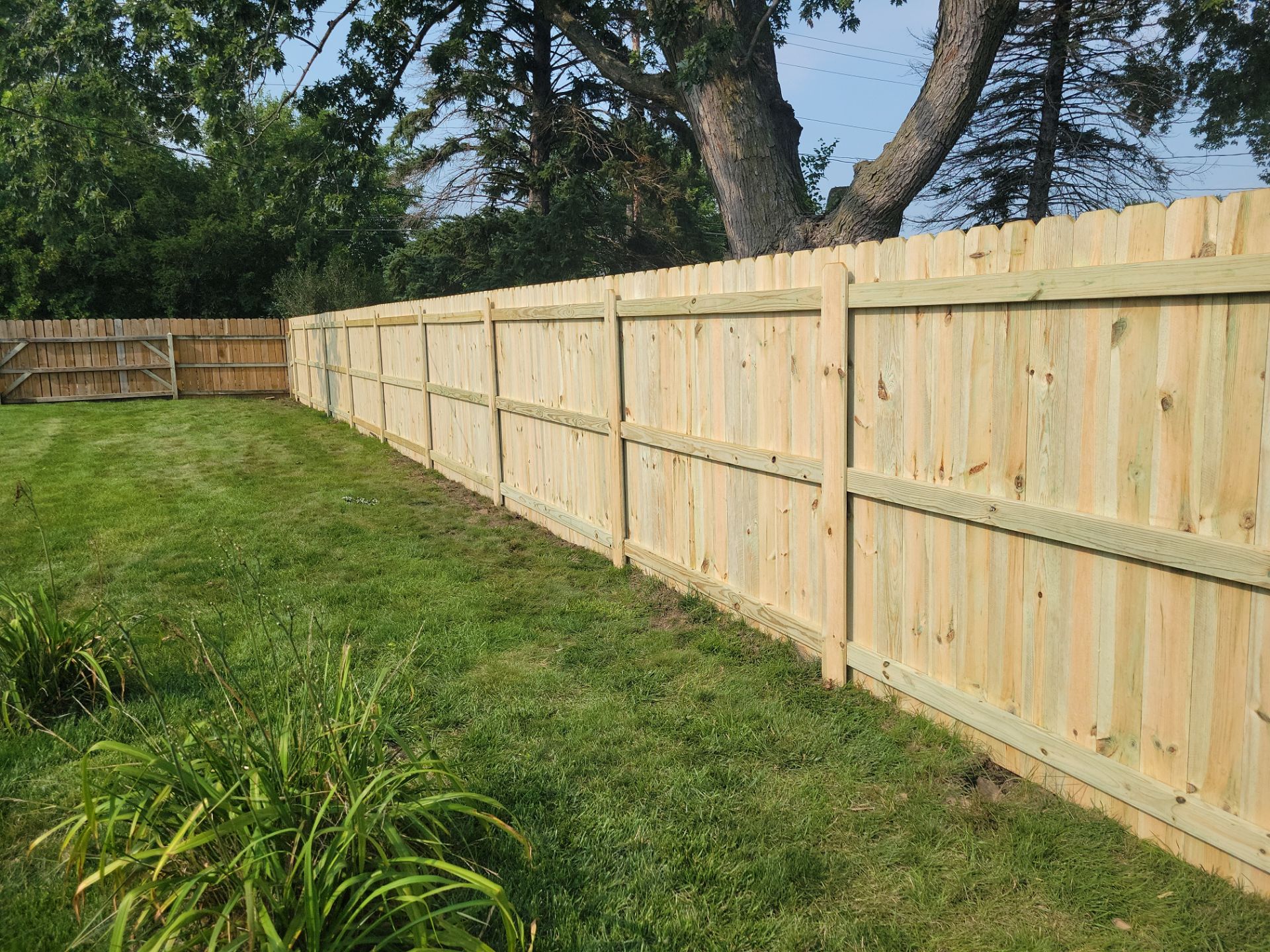 Residential Wood Privacy Fence Replacement and Gate Installation in Waterloo by Perfect Picket Fence and Stain