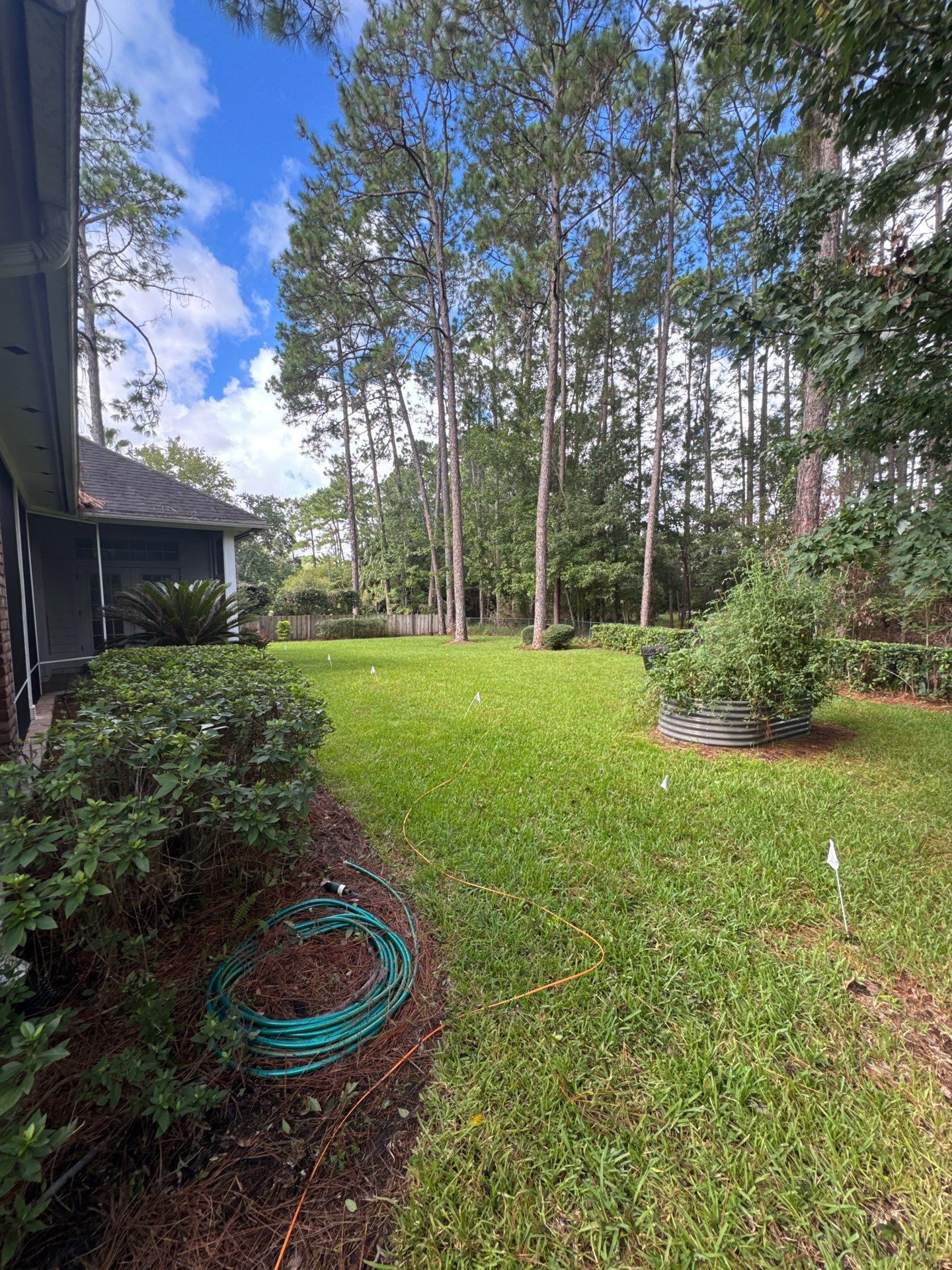 Residential | Shrub Trimming by ProGreen Services