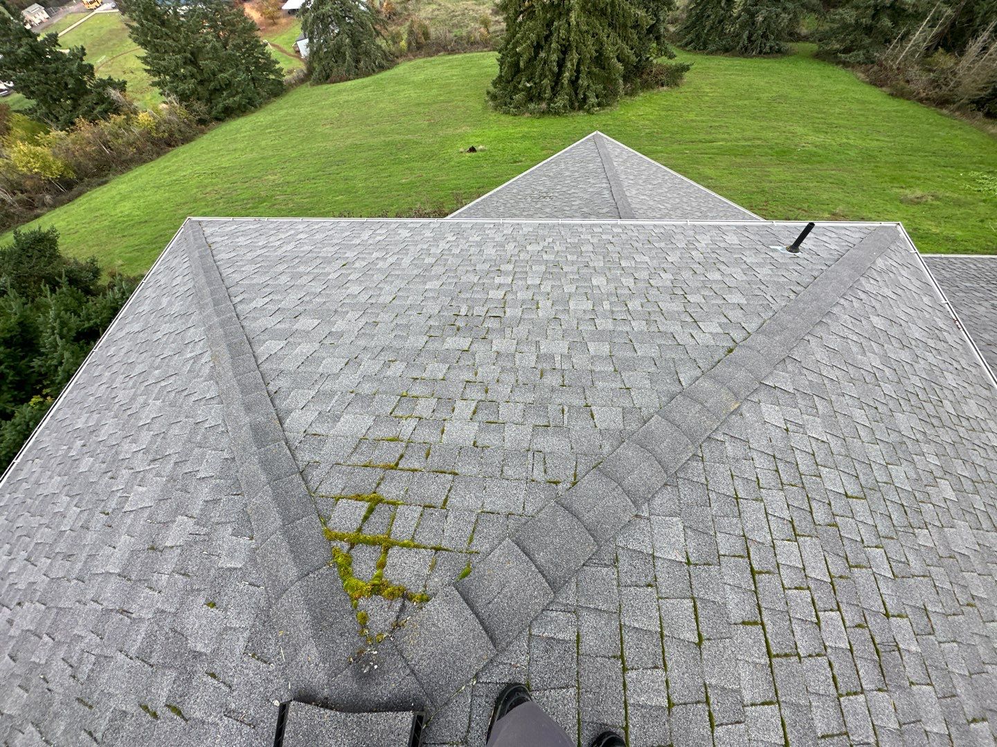 Charcoal Gray Shingles by Reimagine Roofing