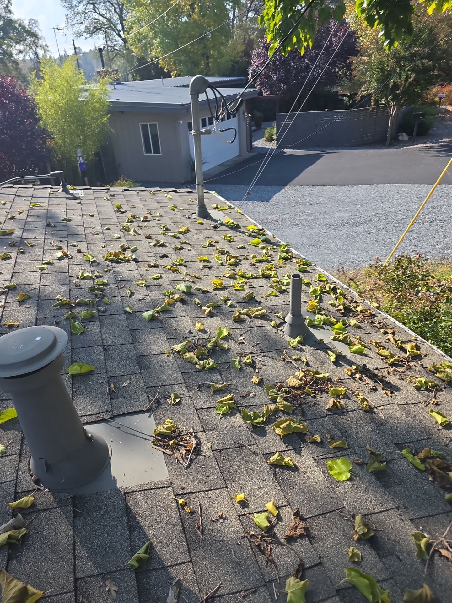 Roof Rejuvenation using Roof Maxx Treatment by Roof Maxx of Folsom