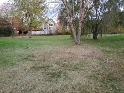 Tree Removal using Tree Removal