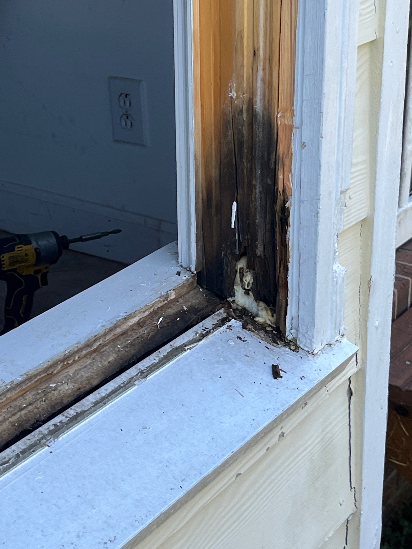 Window Installation using Company Cam by Karcher Roofing & Construction