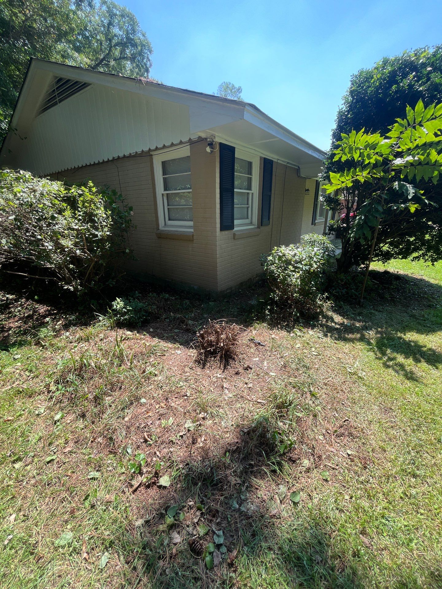 Yard Makeover by College Bros Outdoor services