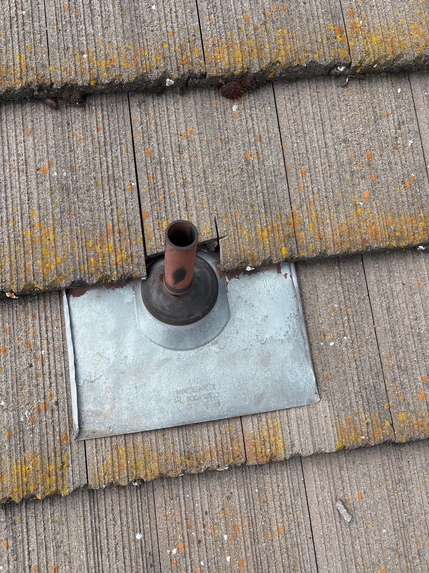 Moss Removal by Top Elevation