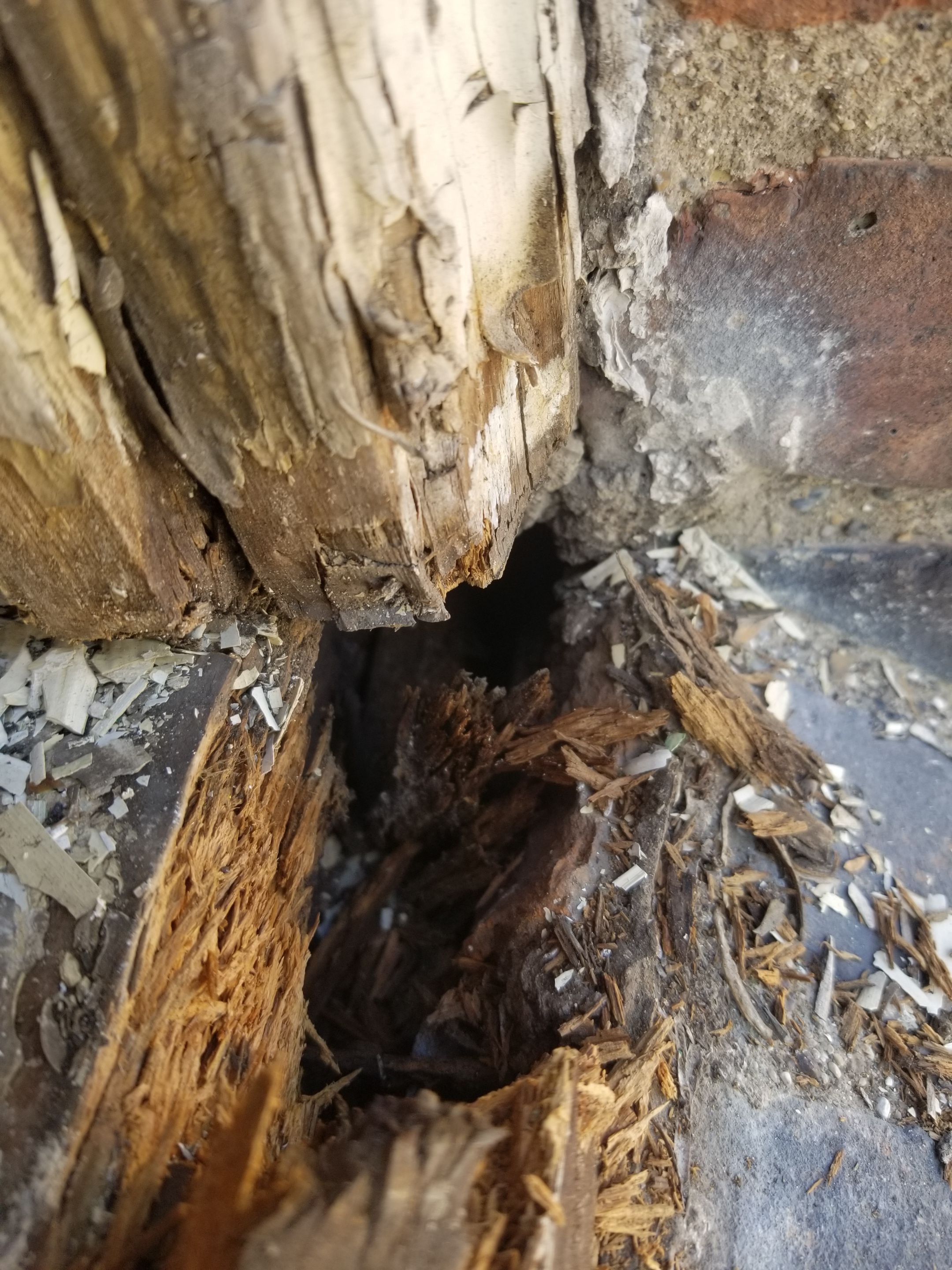 Project in Dearborn, MI by Northwest Construction 