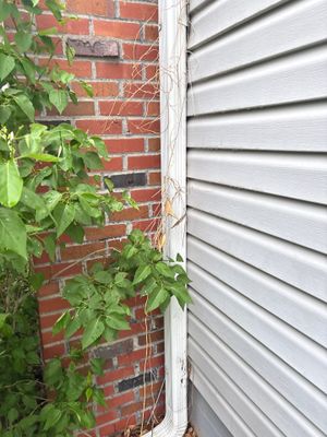 Project in Omaha