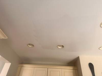Ceiling Repair with Mold Treatment & Paint Restoration by Laser Focused Solutions LLC