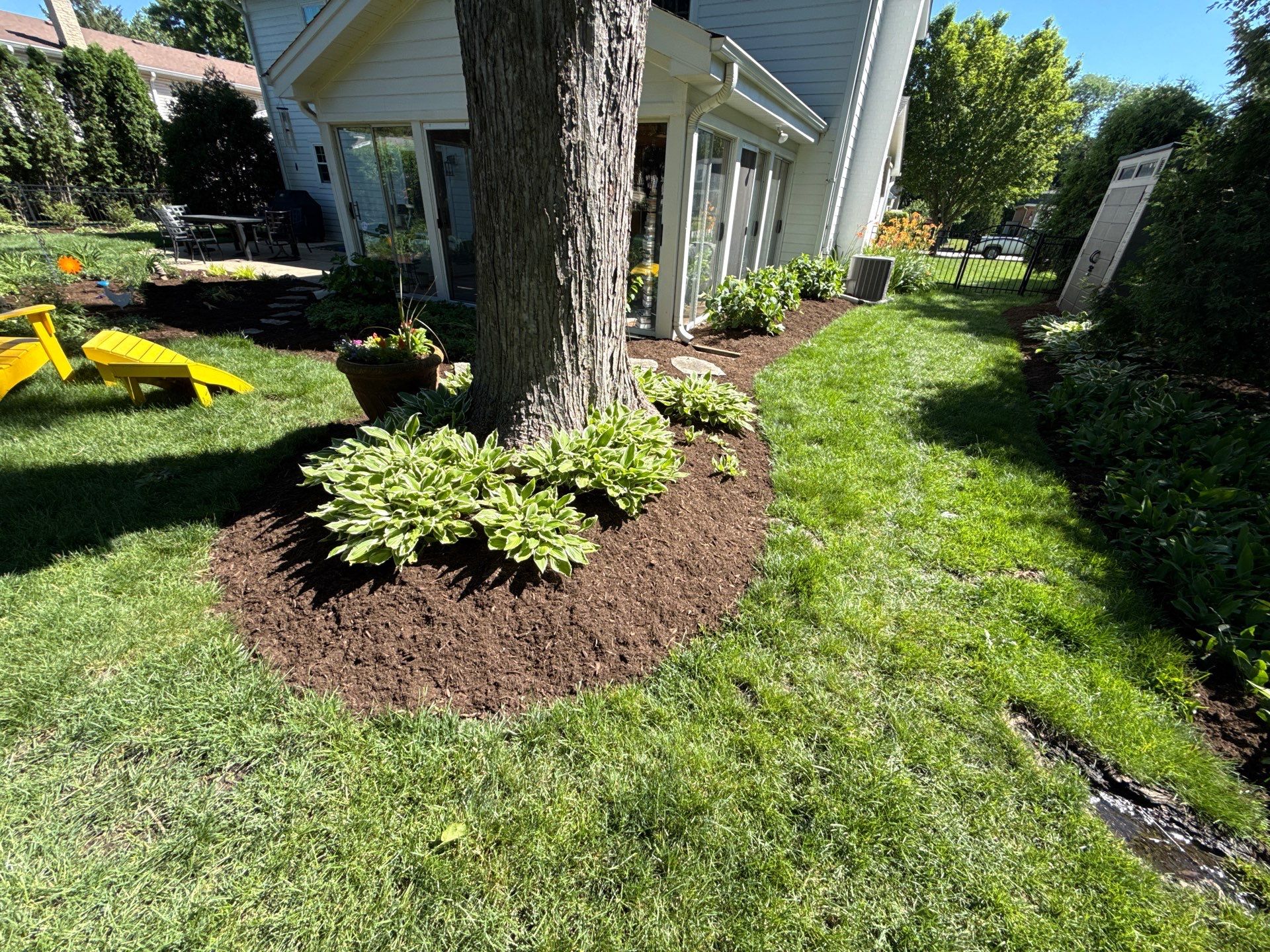 Lesley D. - Arlington Heights, IL by A&N 