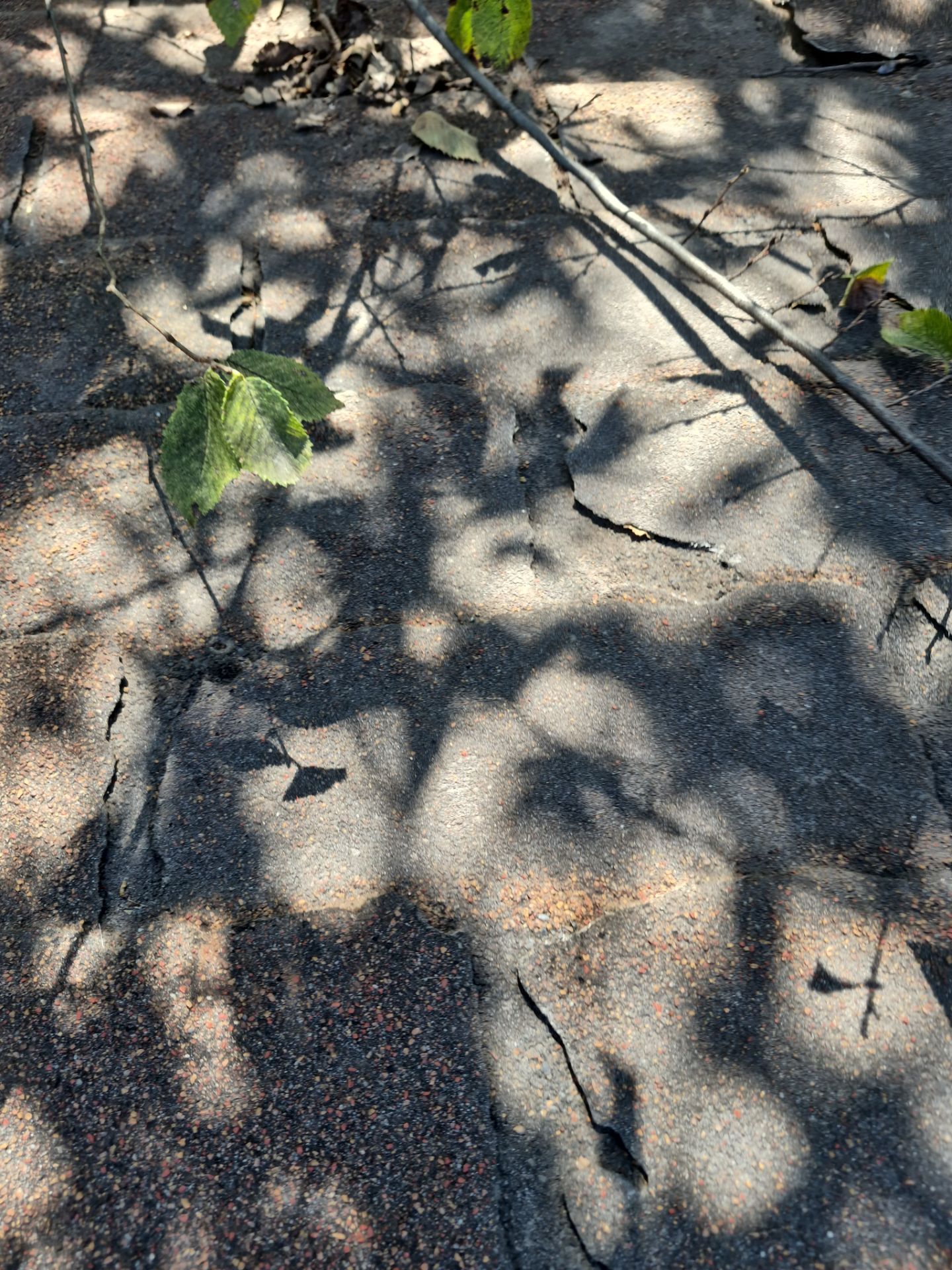 Residential Tarp Repair by Becker Roofing and Exteriors