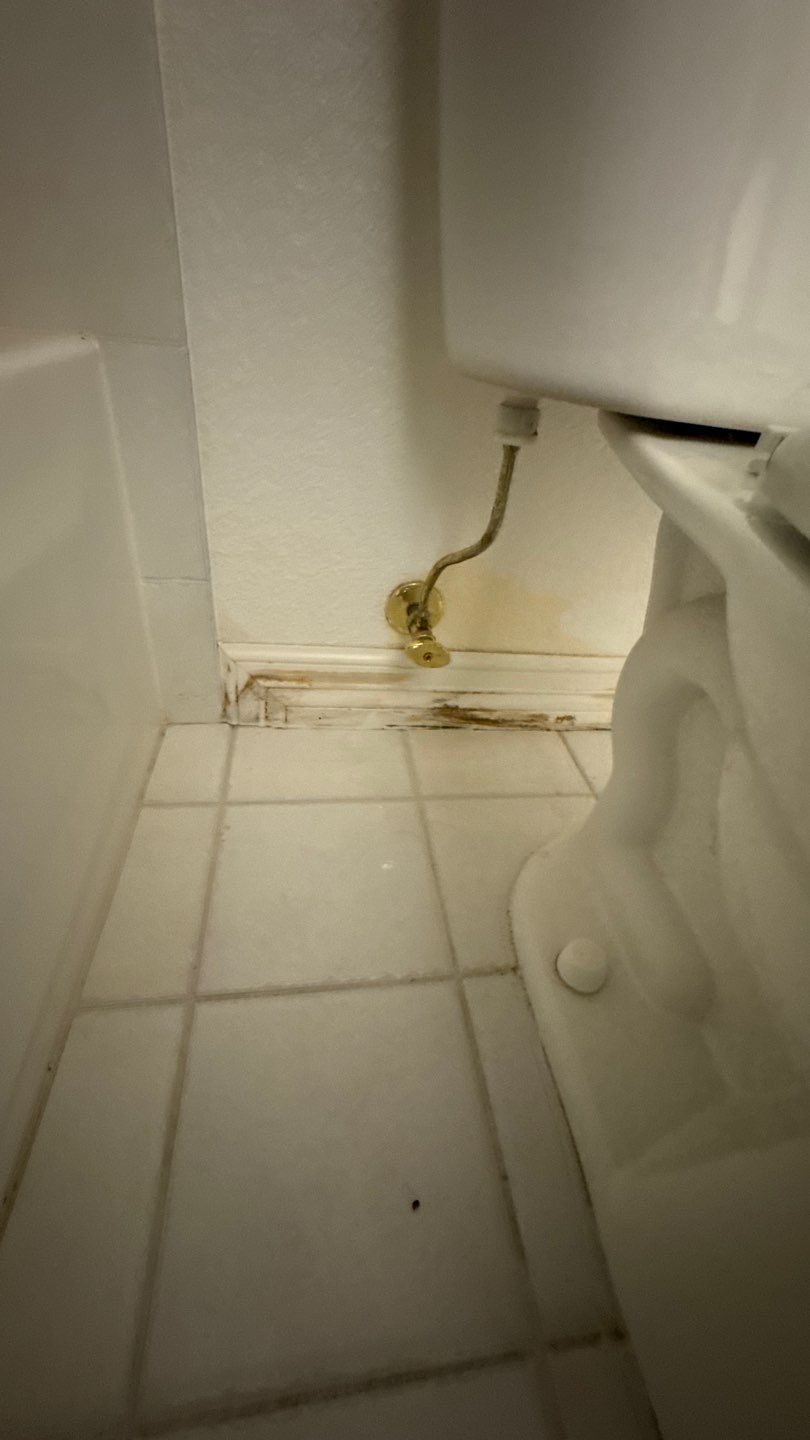 Water Damage Restoration by Accountable Home Services