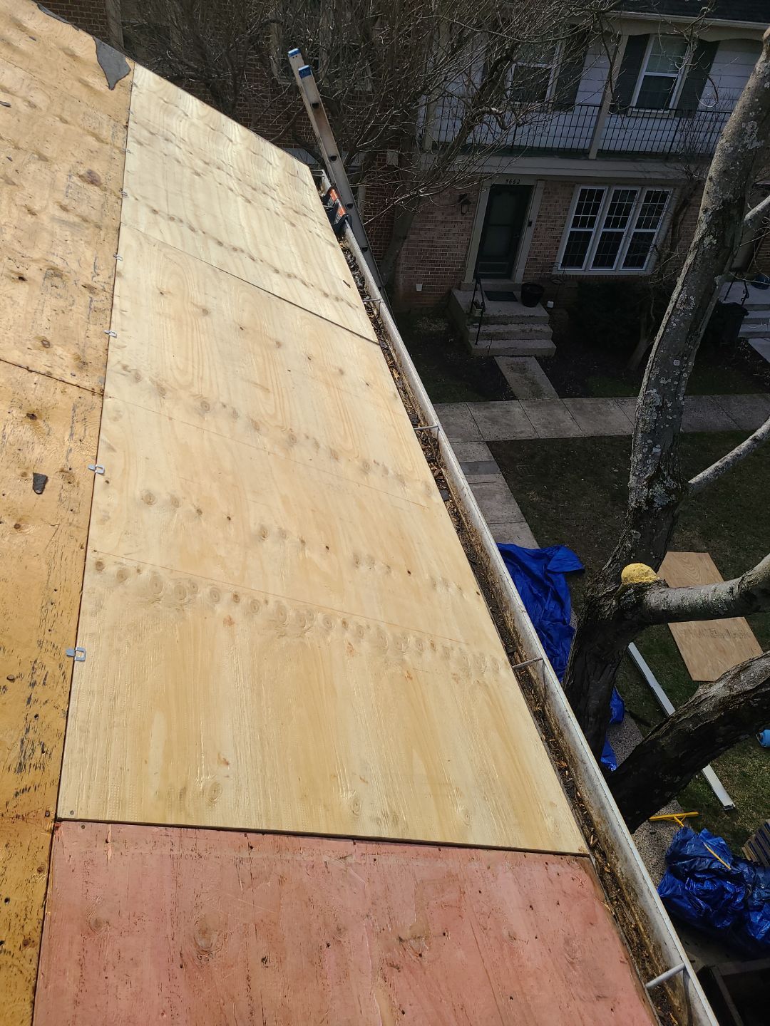 Burke CertainTeed Landmark Pro Roof in Max Def Espresso by RM Banning, Inc.