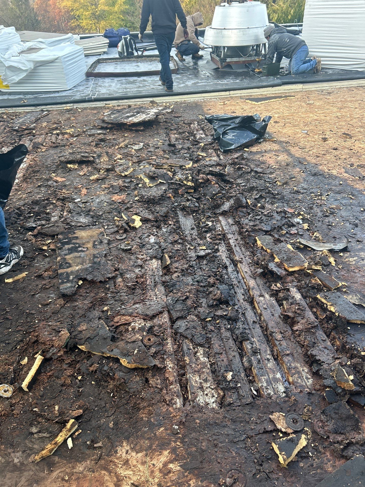 Project in Terra Alta by Duarte’s Roofing 