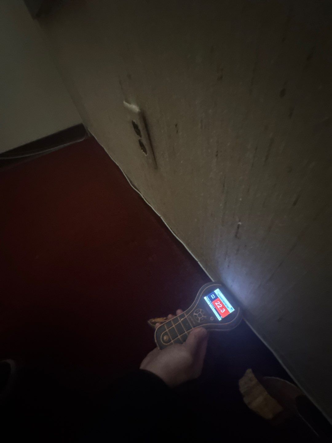 Project in Royal Oak by EzDry Water Mitigation & Property Restoration