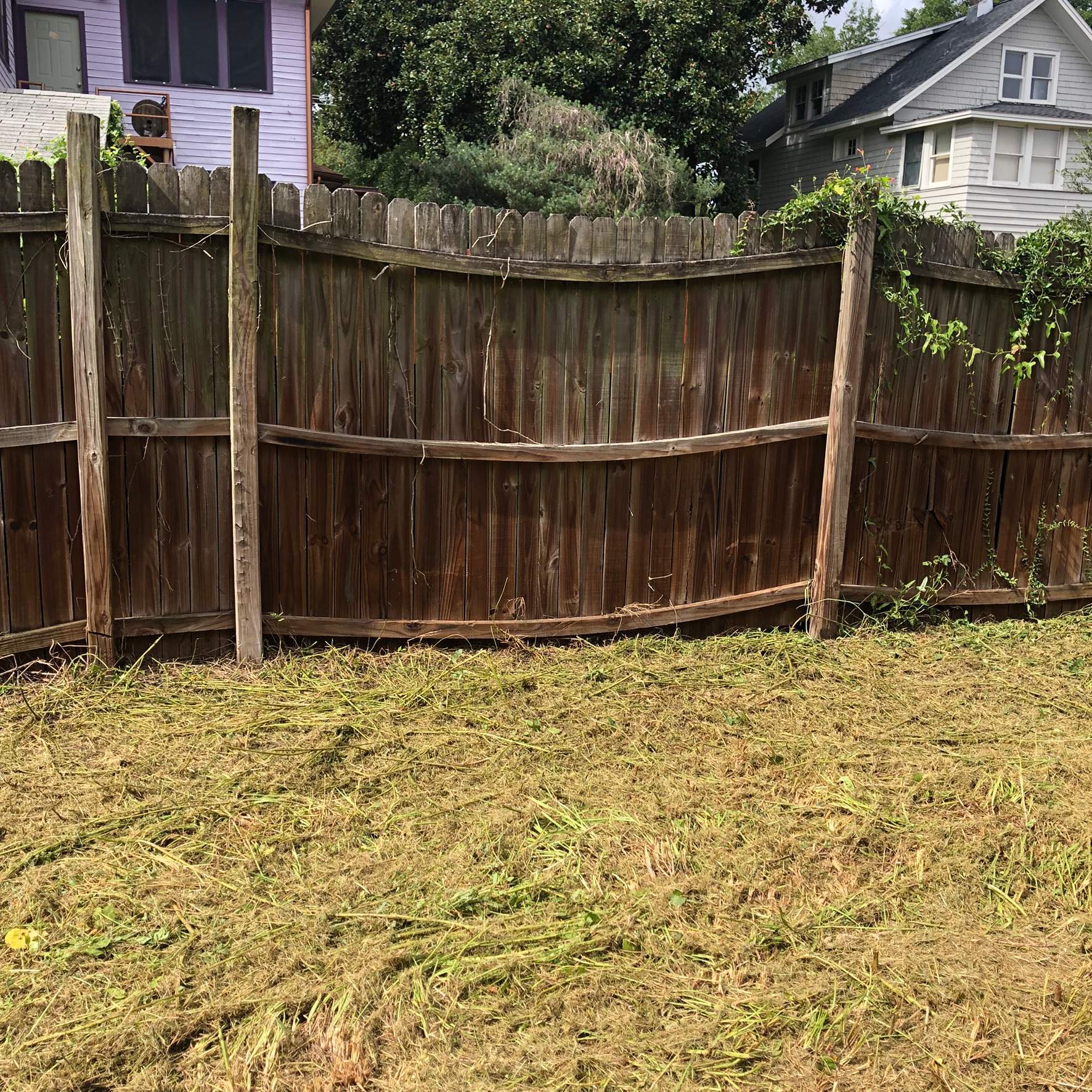 Extreme Clean Up | Riverside Area by ProGreen Services