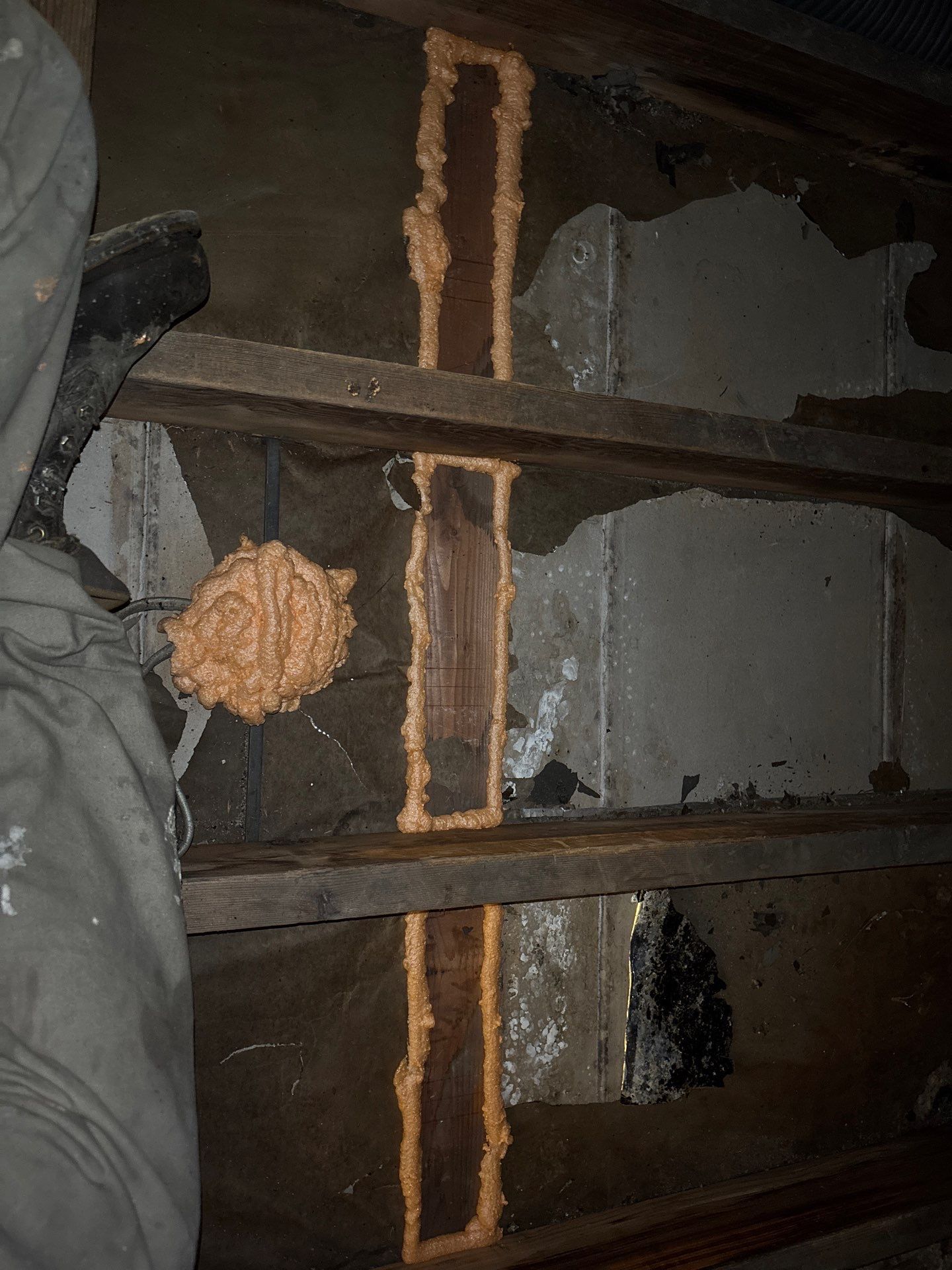 Rodent cleanup and insulation upgrade in Beaver Falls, PA 15010 by Home Environment Solutions