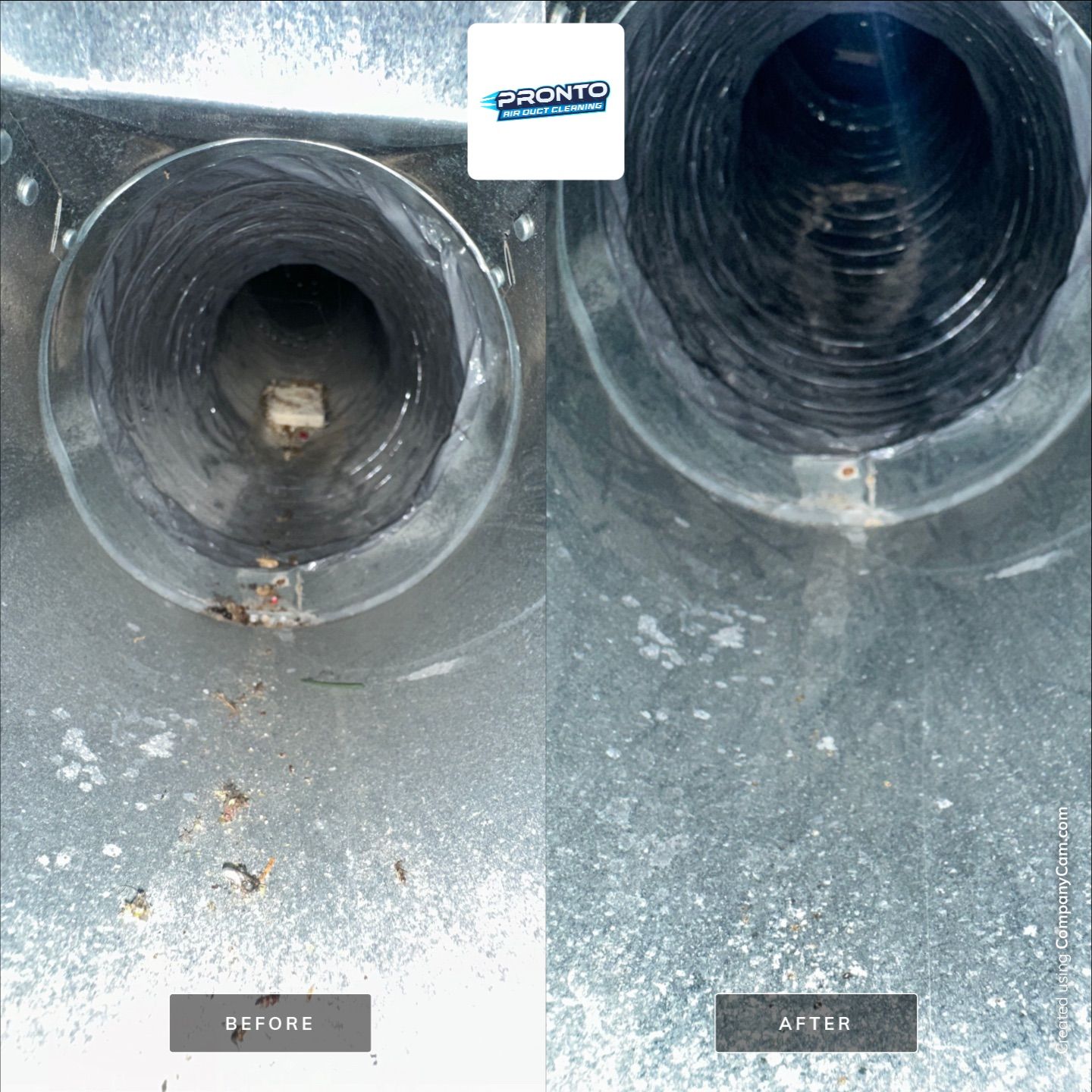 Air ducts + Dryer Vent Cleaning by Pronto Air Duct Cleaning