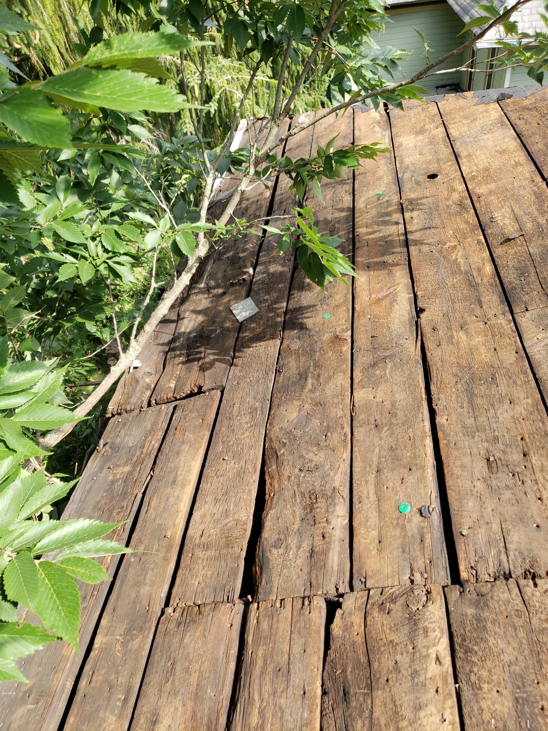 ATLAS PINNACLE COLOR: MAJESTIC SHAKE DRIP EDGE: WHITE by Eagle Eye Roofing