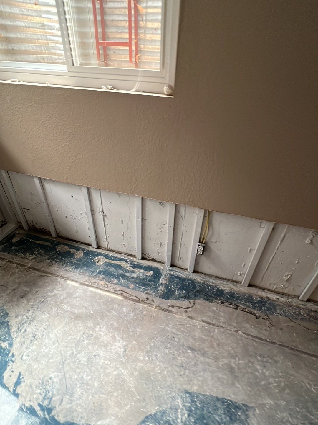 Mold Damage by Accountable Home Services