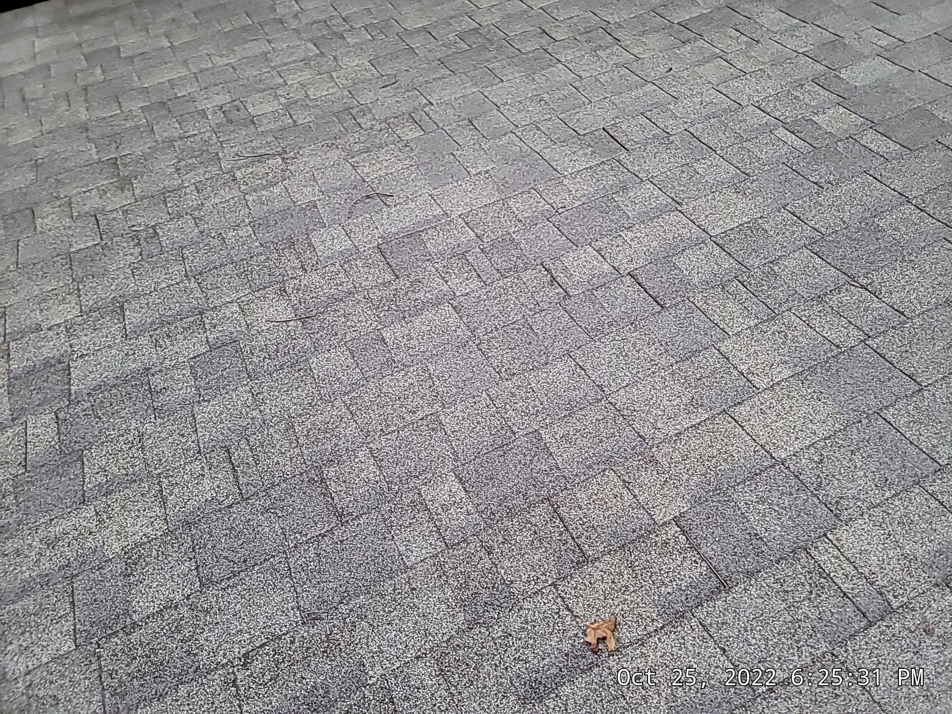 ATLAS PINNACLE COLOR: COPPER CANYON DRIP EDGE: MUSKET BROWN by Eagle Eye Roofing