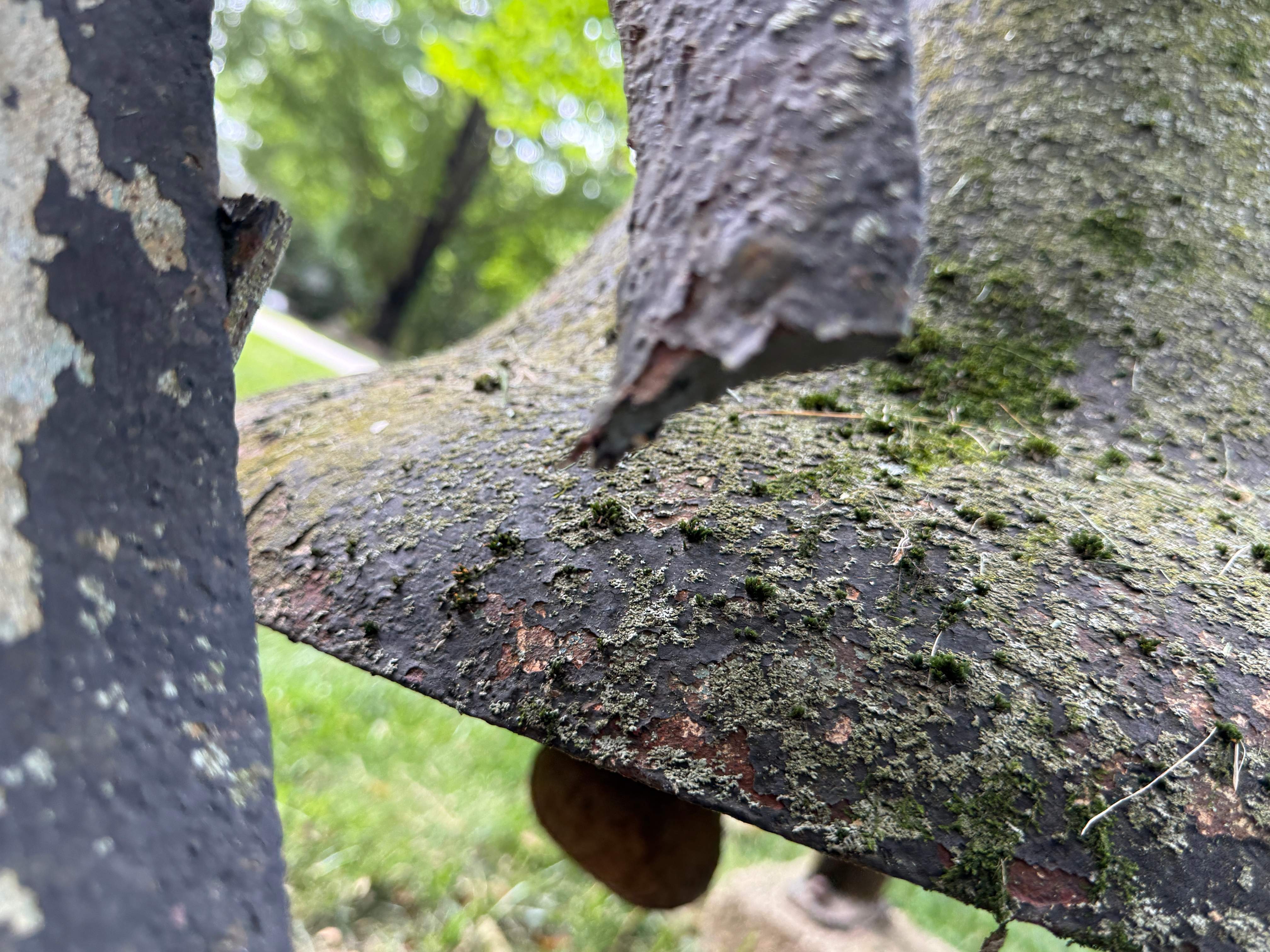 Custom Ornamental Bell Restoration & Structural Welding – Vargo Residence – Rockville, MD by Capitol Iron Works