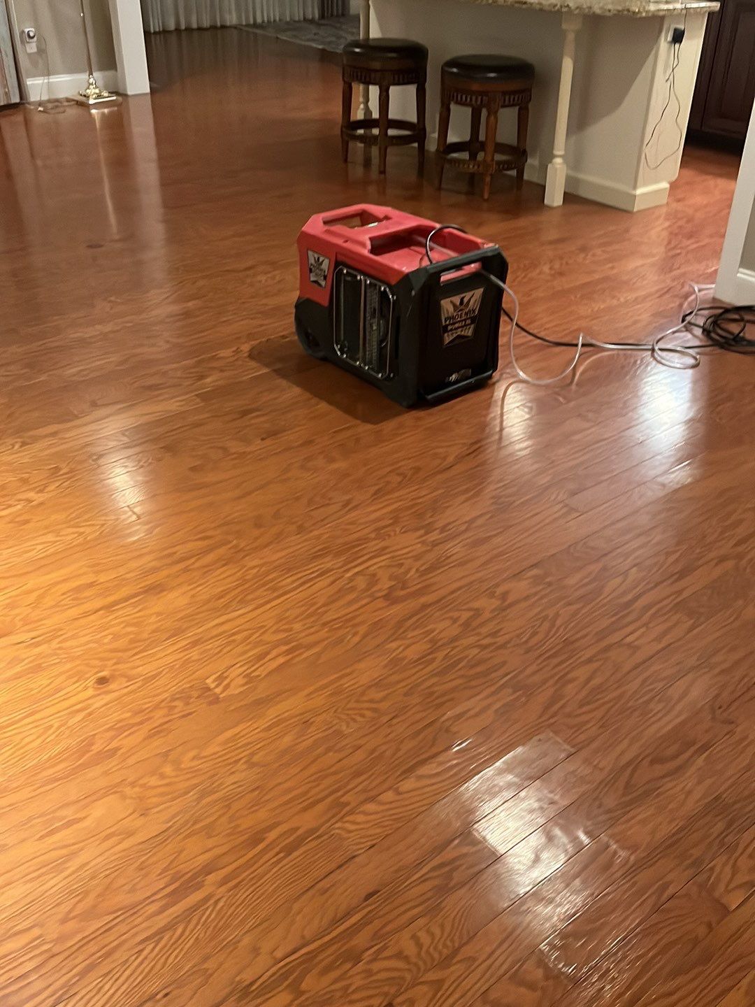 546 Birch Dr by Ranger Recovery