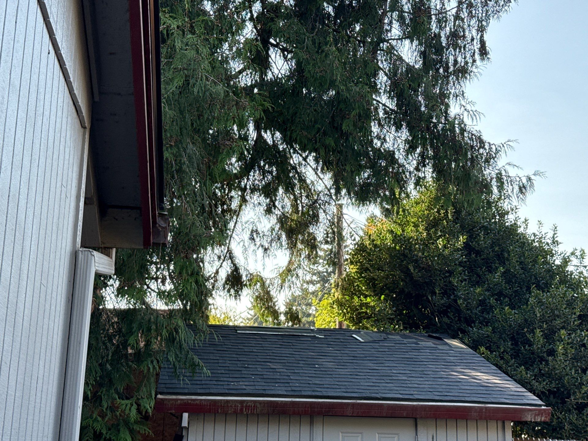 Project in Milwaukie by Tom Leach Roofing