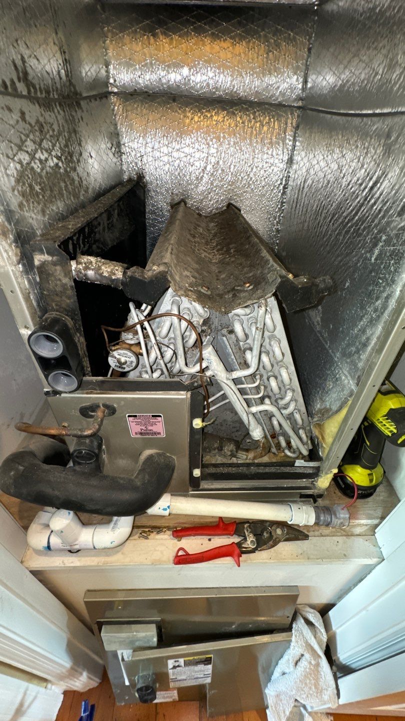 Air Duct Cleaning in Tavares by Hygienic Air, Inc