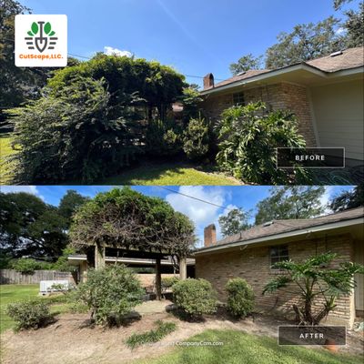 LANDSCAPE SERVICES: HERBICIDE / CLEAN OUT / TRIM / BRUSH DEBRIS REMOVAL / PROPERTY CLEAN UP