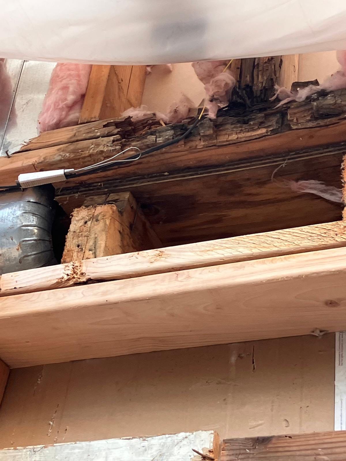 Back Wall Siding Replacement & Breezeway Roof. by Philadelphia Quality Roofing