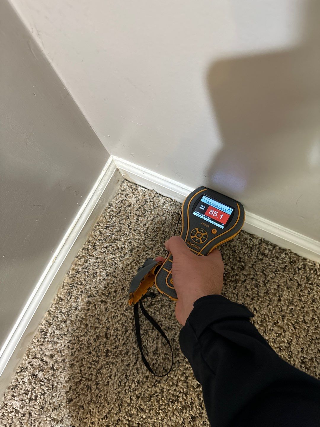 Project in South Lyon by EzDry Water Mitigation & Property Restoration