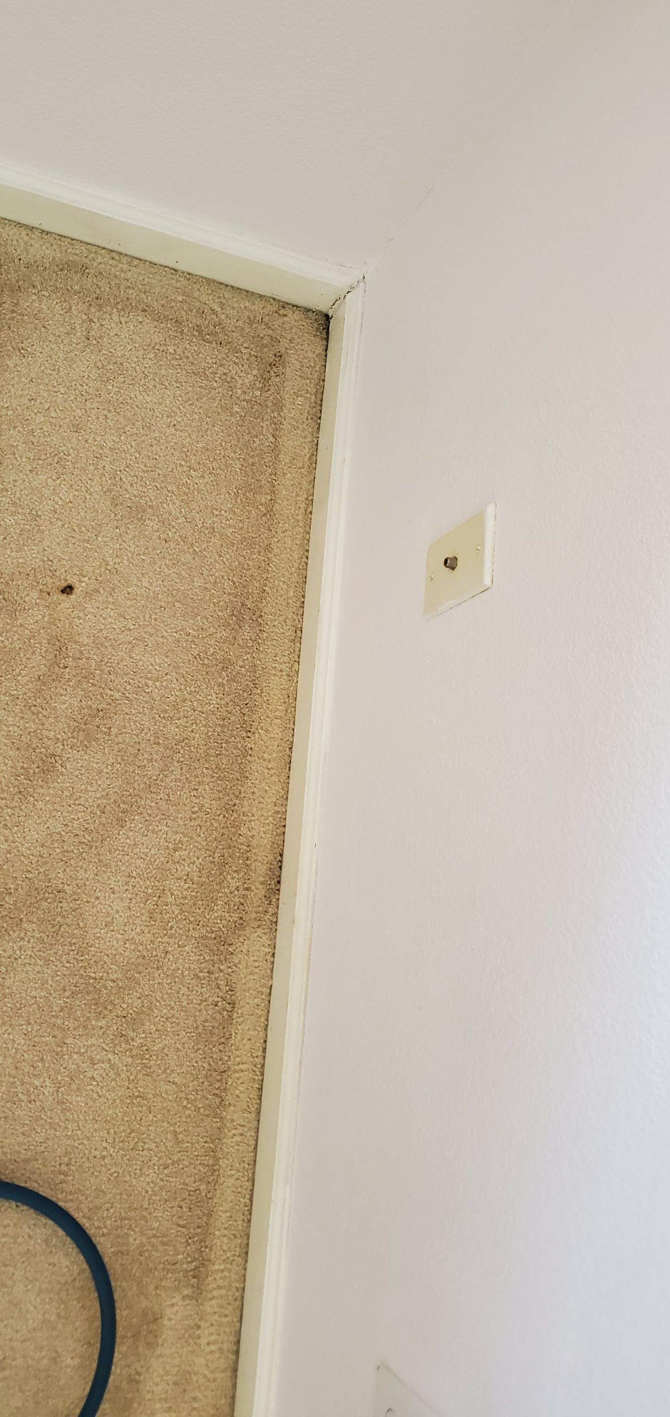 Carpet Edging, Filtration Soil Removal by Ardent Carpet Restore LLC