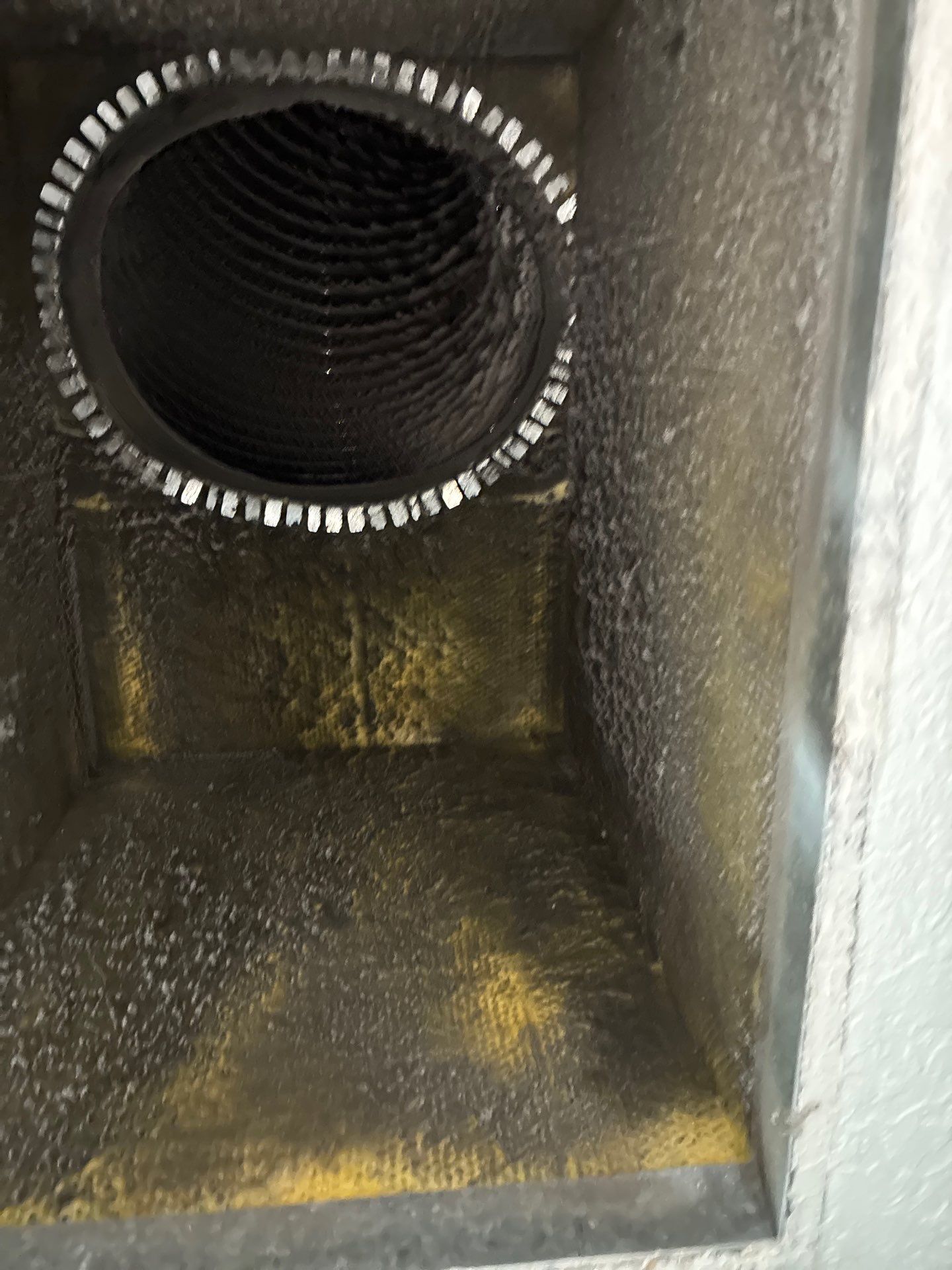 AIr Duct Cleaning in Clermont by Hygienic Air, Inc