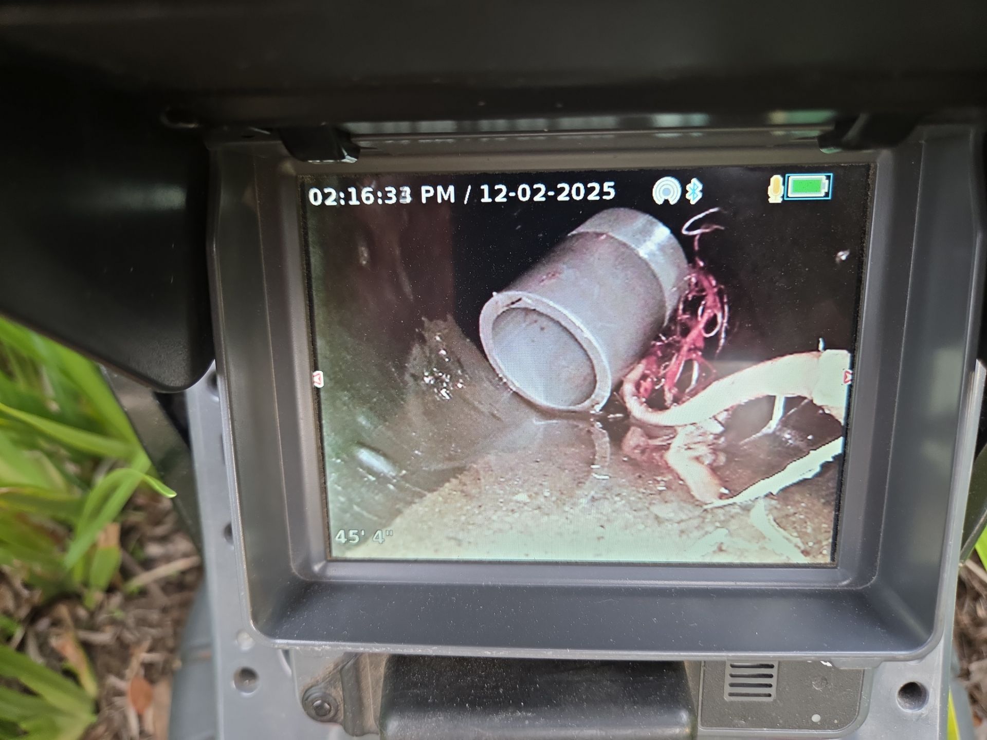 Area Drain Root Intrusion by Professional Plumbing Inc 