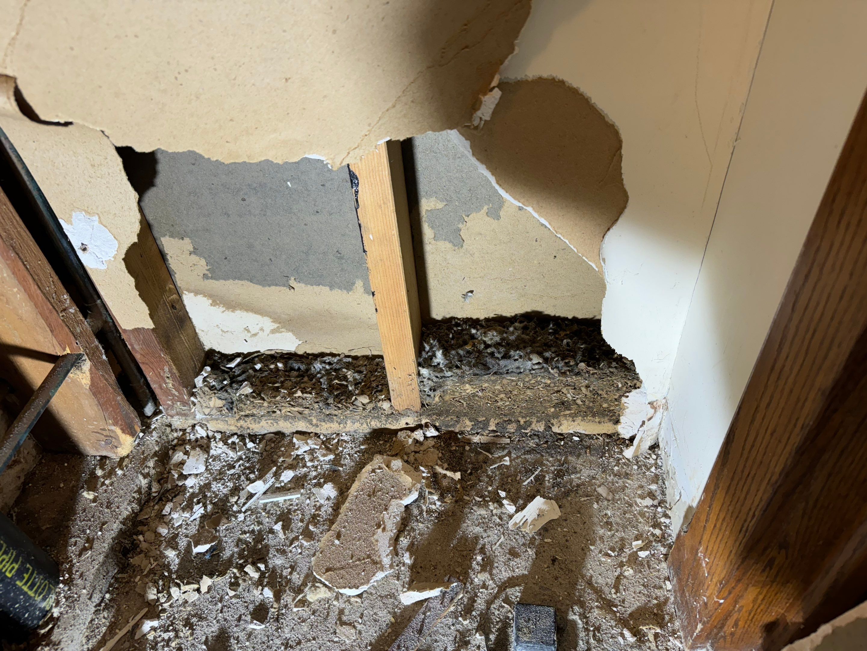 Major Basement Remediation / Restoration by Home Guarantee, LLC