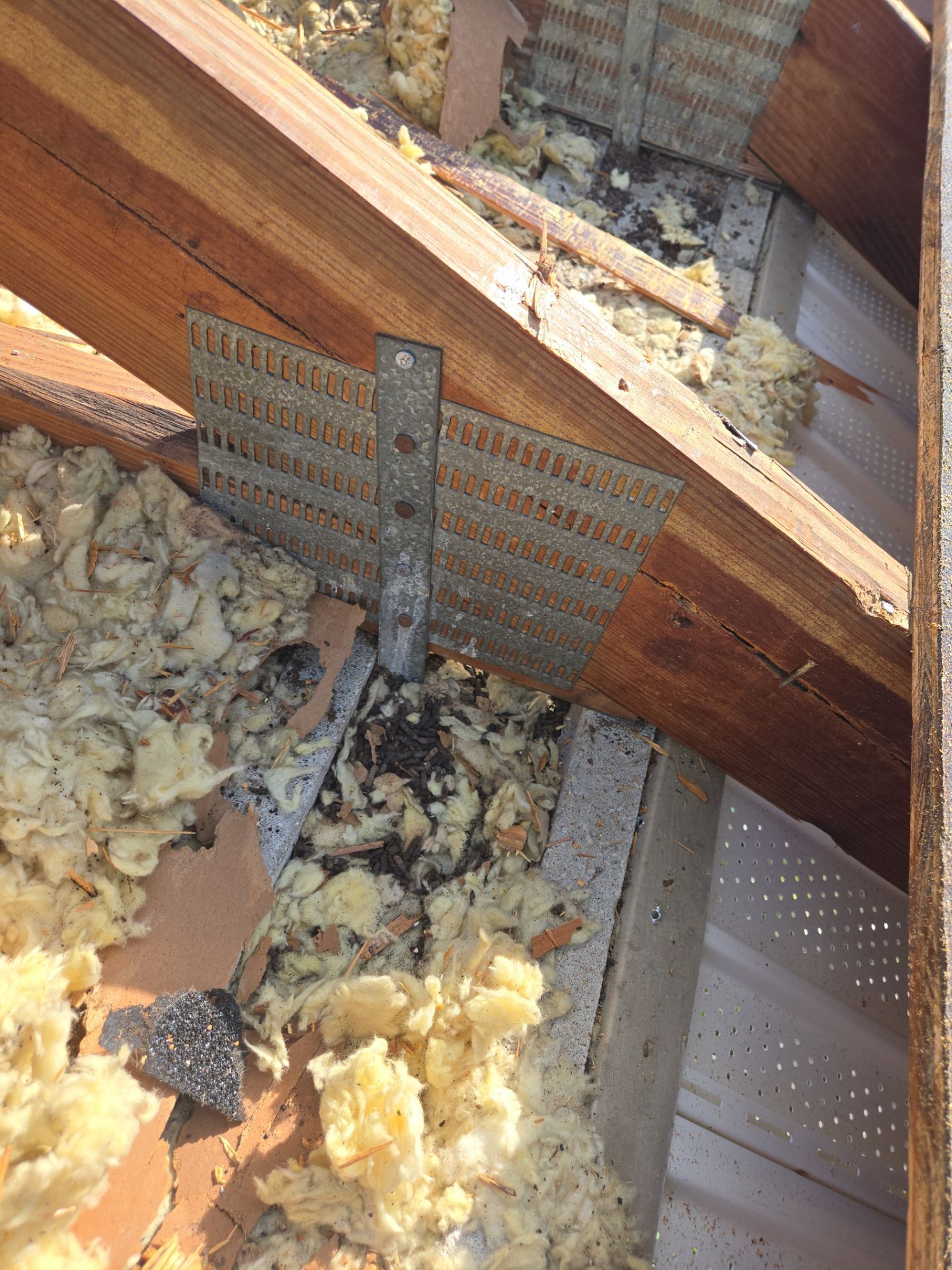 Project in Clearwater 33762 by Mitchell Roofing Company LLC