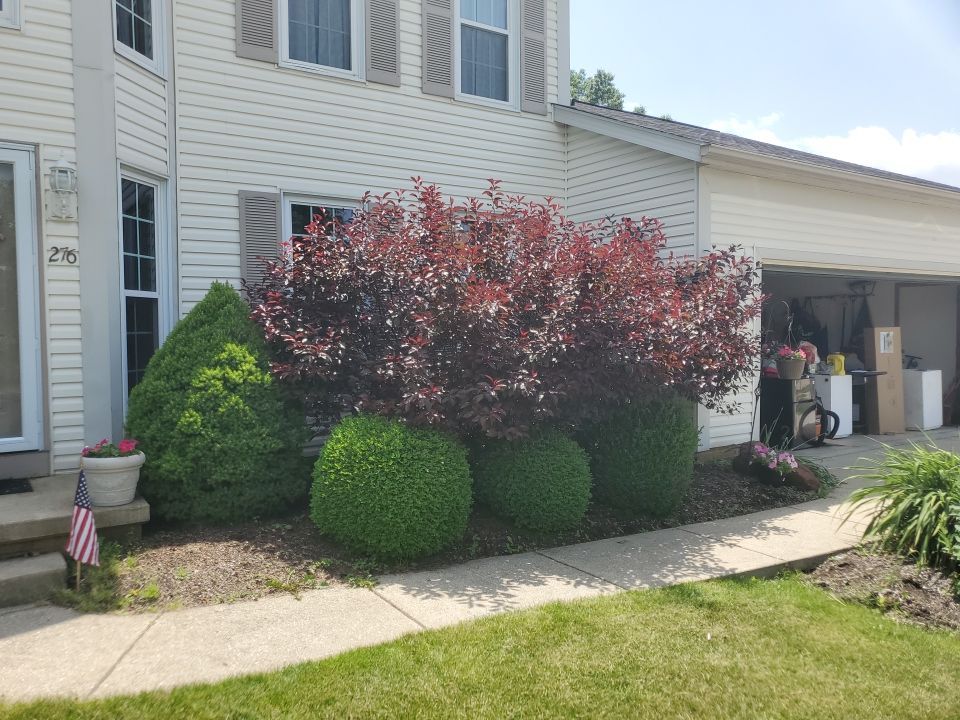 Tree Removal using Tree Removal by Mike Jones & Sons Tree Service LLC 