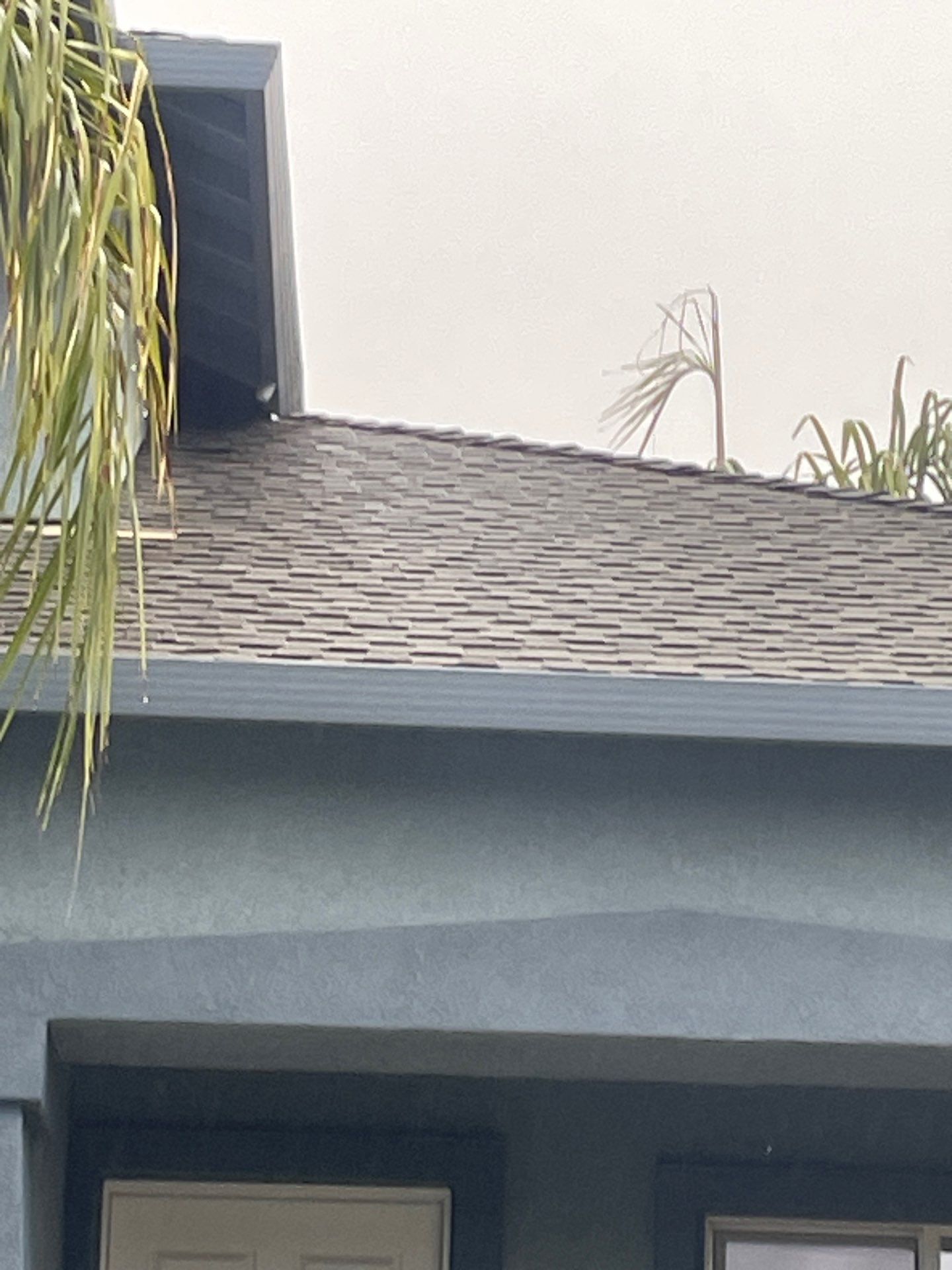 Roof Rejuvenation using Roof Maxx Treatment by Roof Maxx of Folsom