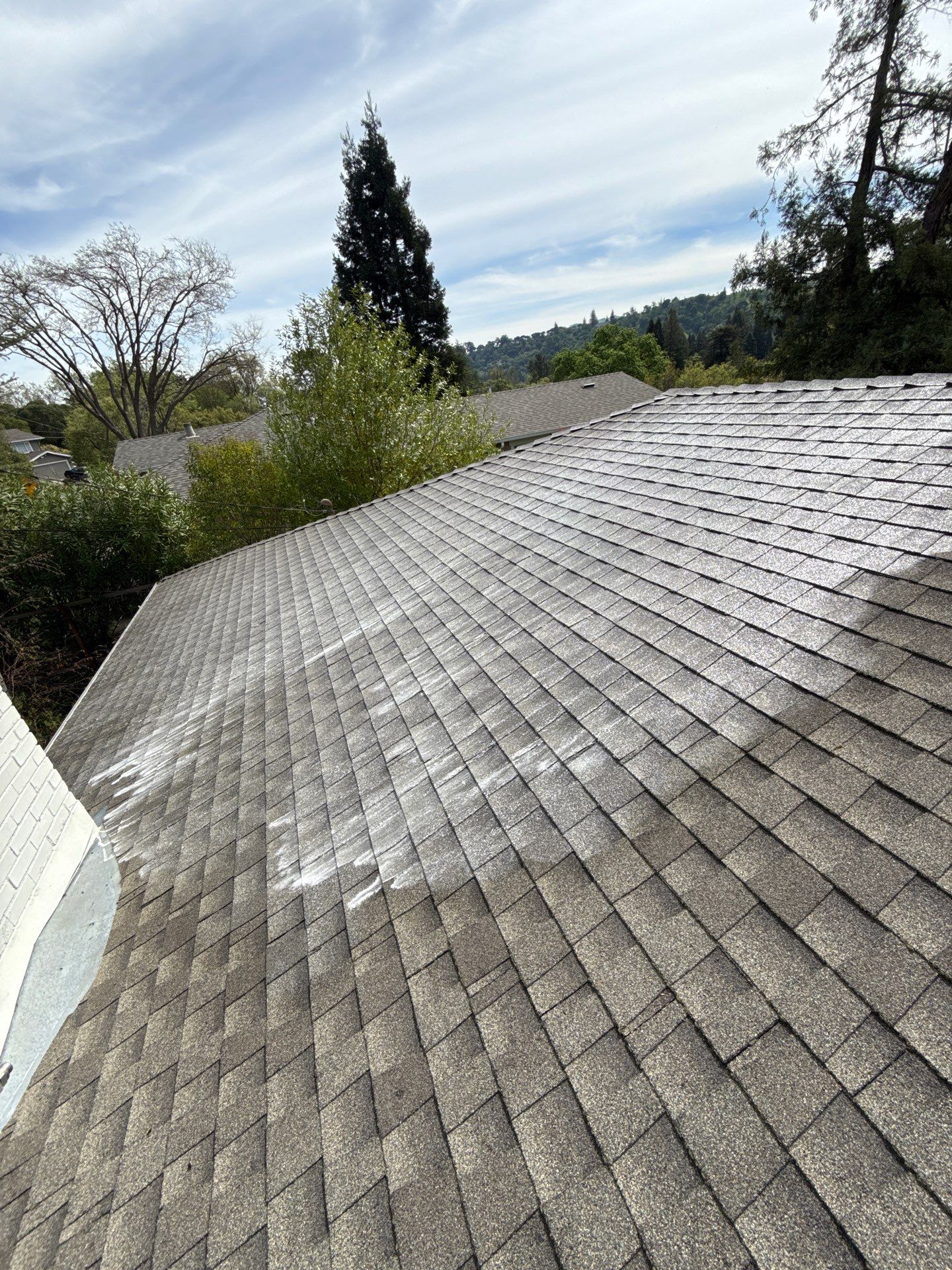 Soft Wash by Top Elevation