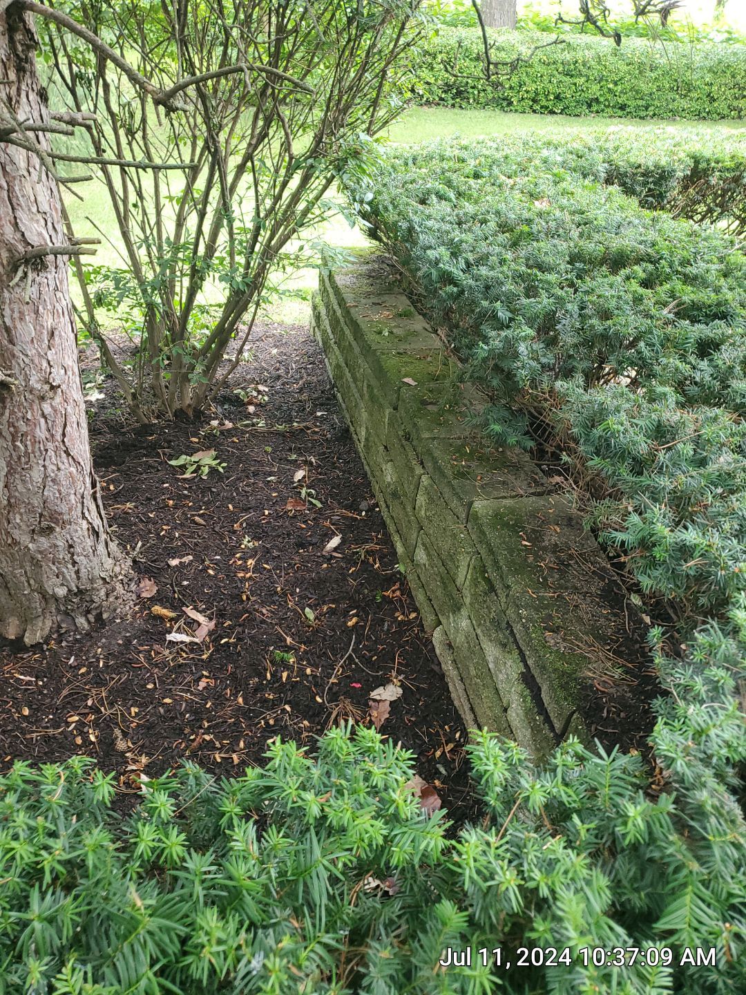 Brick paver repair, clean and seal by Northern Power Washing LLC.