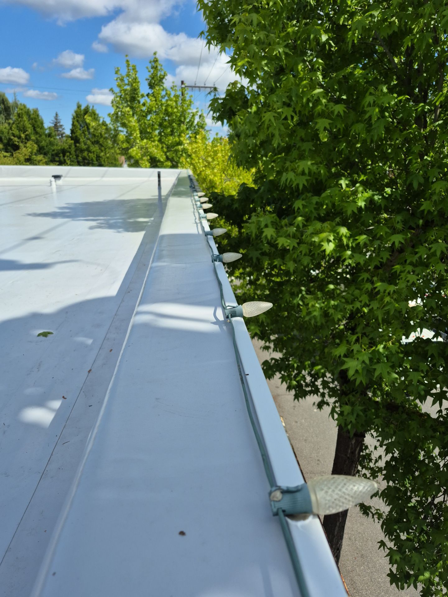 2025 Seattle Commercial Overlay by Alternative Roofing Systems Inc. 