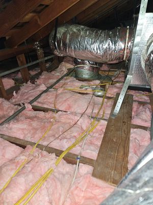 Project in Los Angeles